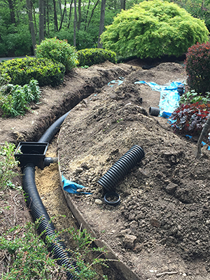 Drainage Solutions Allen
