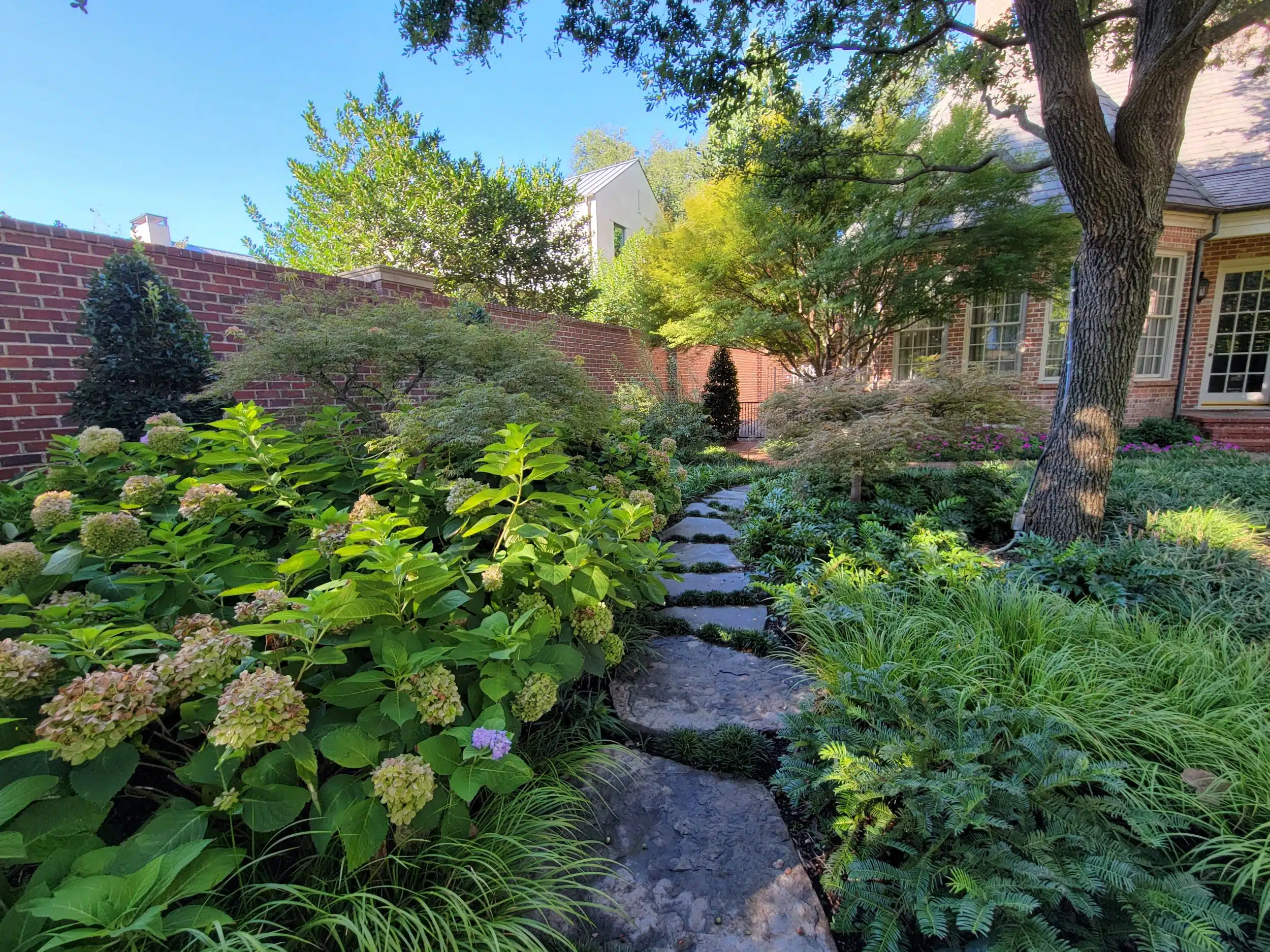 Landscape Design Allen